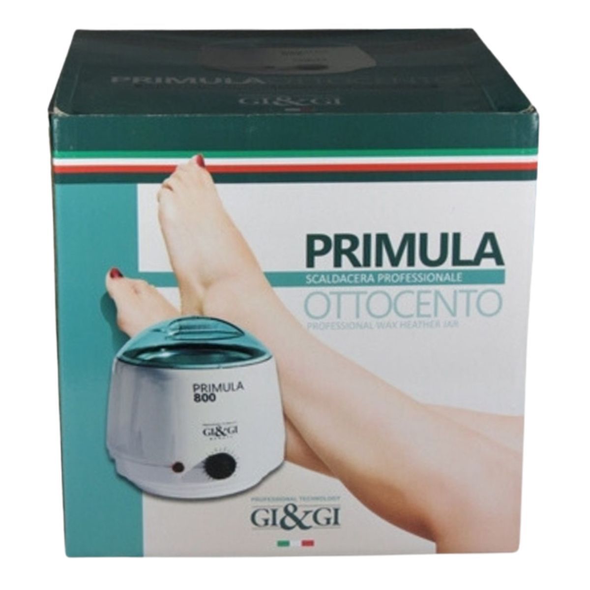 GI&GI ���� ����� ������ PRIMULA