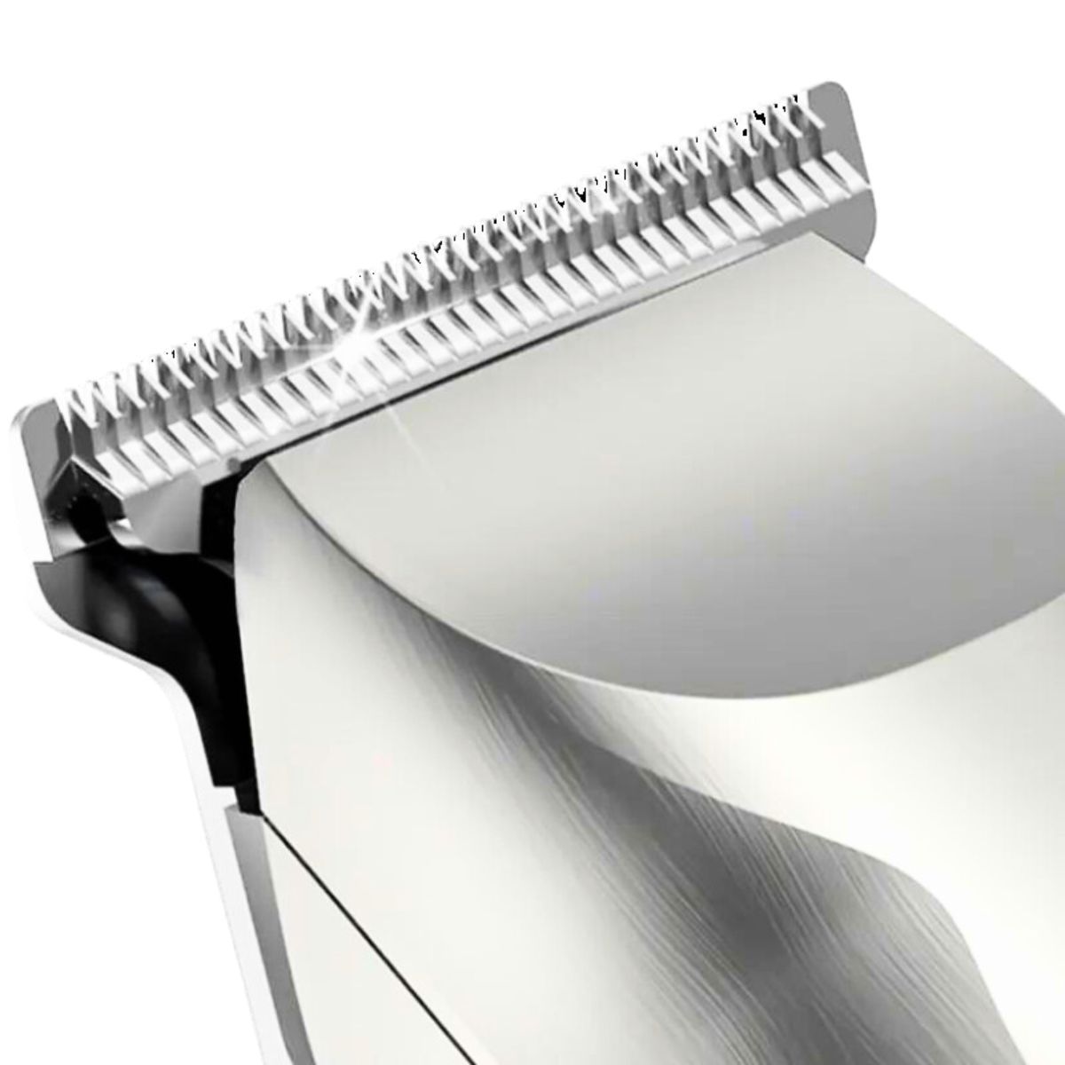 ����� ������ ��� ��� ���� CUT �� ���� �����