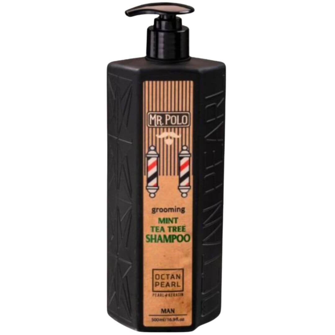 ���� �� ��� ��� ����� ���� MR. POLO ����� ��� 500 �"�