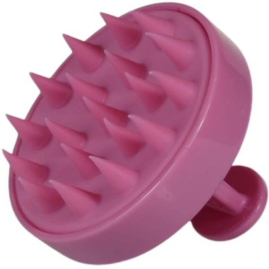 ����� ����� ������ ������