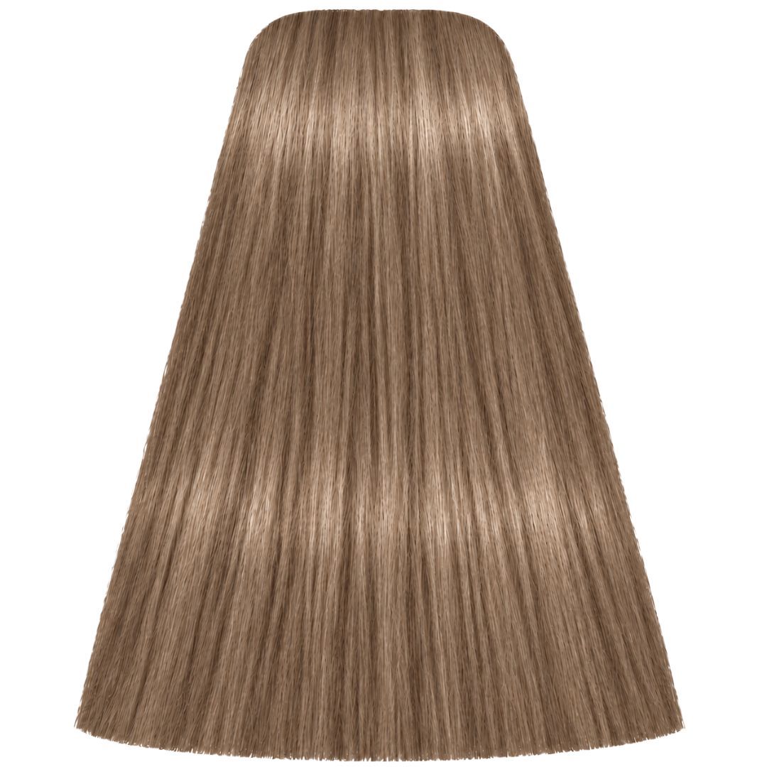 �� ��� ����� 10-49 ������ IGORA ��������� 60 ���