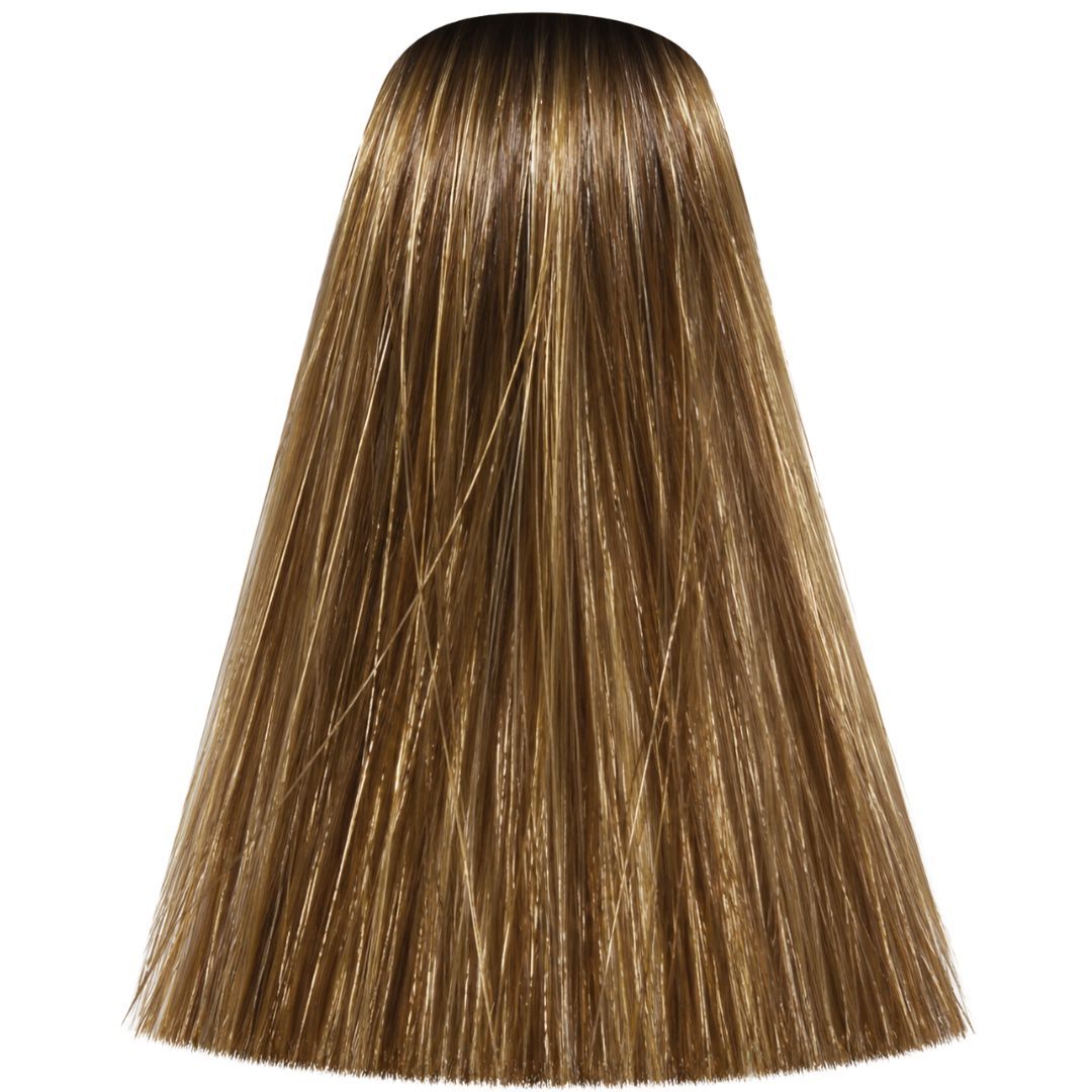 ��� ���� Gold 7.3 ��'��� Majirel  ������ 50 ���