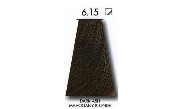 ��� ����� ��� ������ Dark ash mahogany blonde 6.15 ������ INOA ������ 60 ���