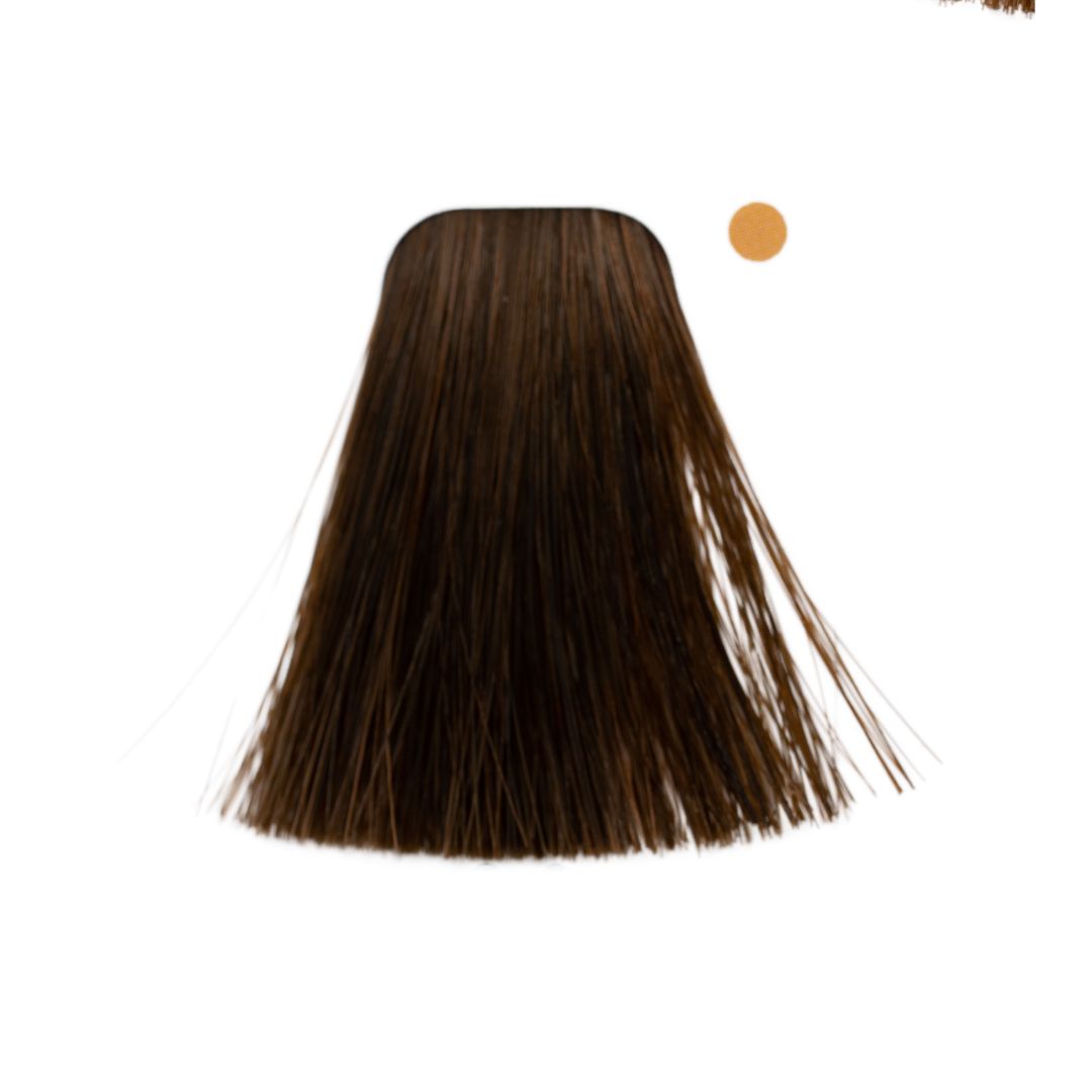 ���� 6-6 ZERO AMM ���� ������ ��� ����� ��� ������ ��������� 60 ���