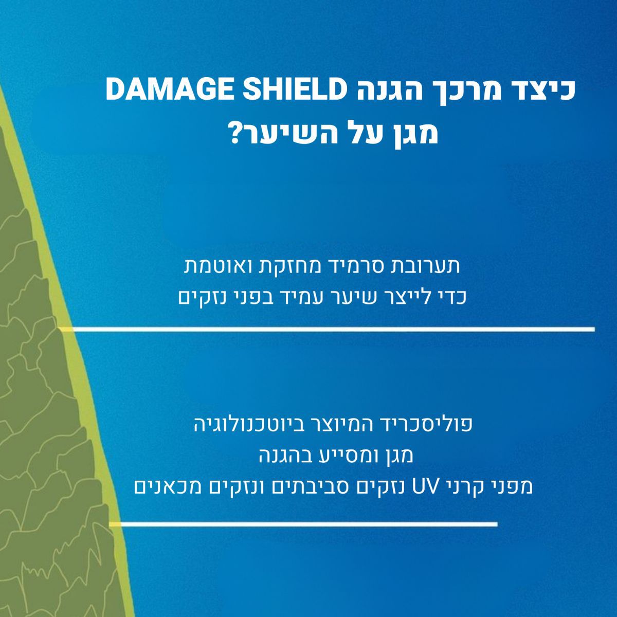 ���� ���� DAMAGE SHILD ������ ����� ����� ��� ���� ����� K18 ��� 18 250 �"�