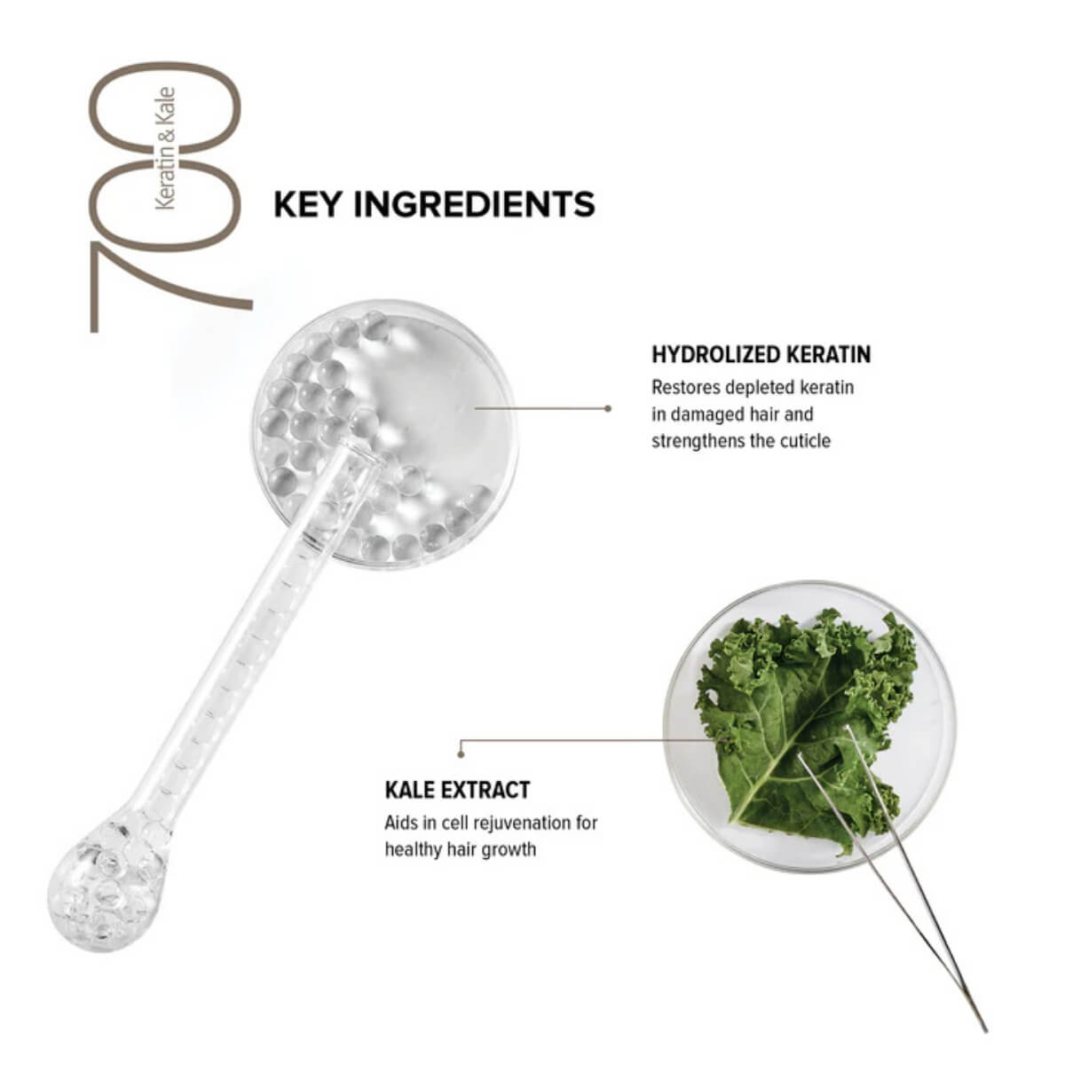 ���� ����� ���� + ����+ ������ ������� ����� ������ BIOTOP 700 ������ ����� ��� ����� ���� ������