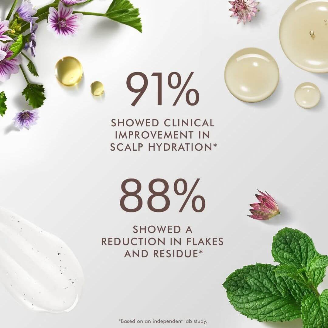 ���� ������ ����� SCALP ��� ������ 250 �"�