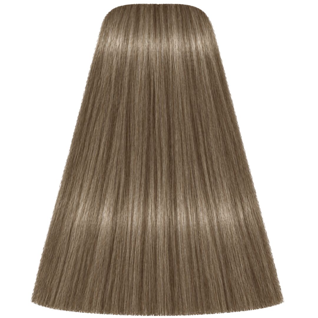��� ����� L-24 ASH BEIGE  ������ IGORA ��������� 60 ���