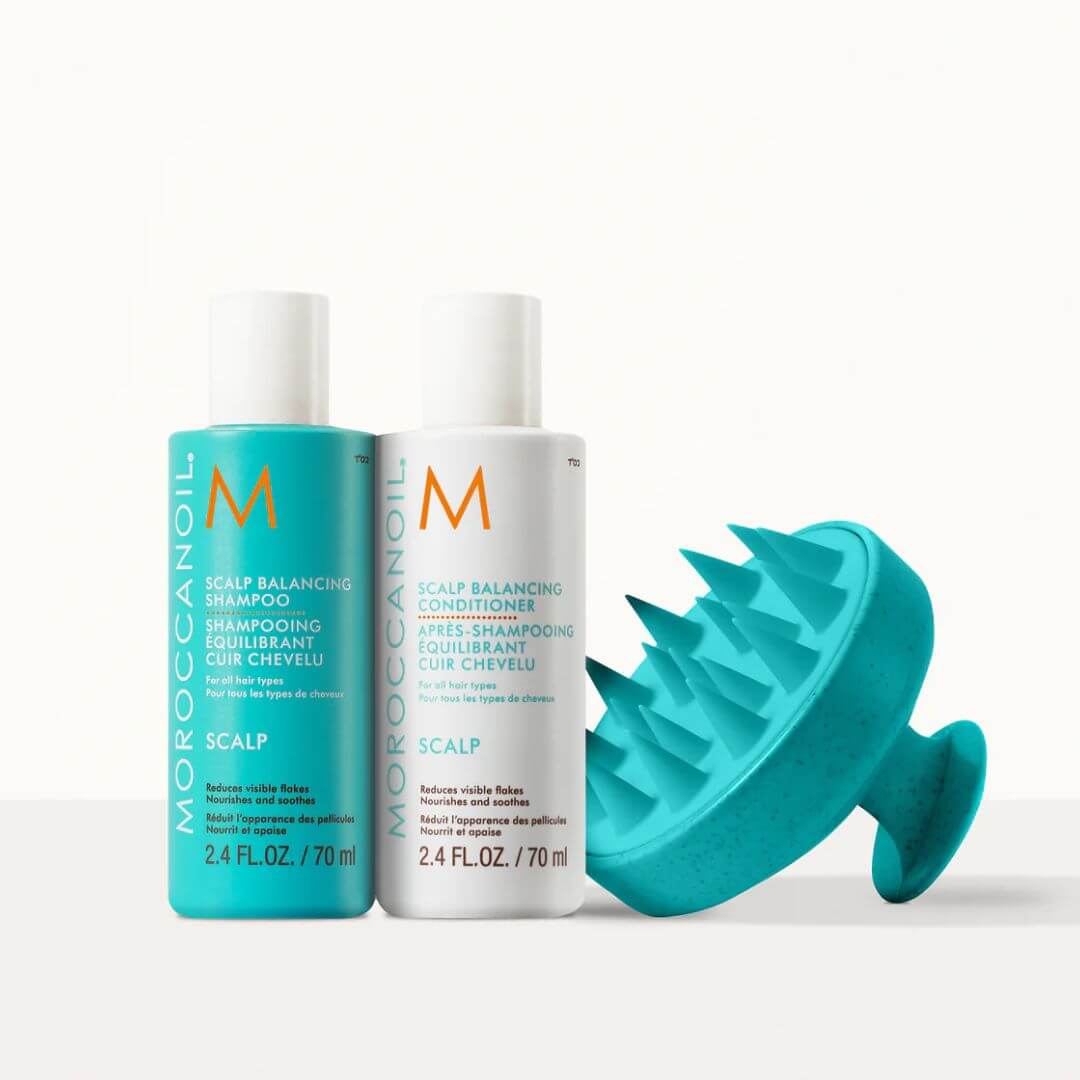 ���� ������ ������ ������ SCALP ��� ������