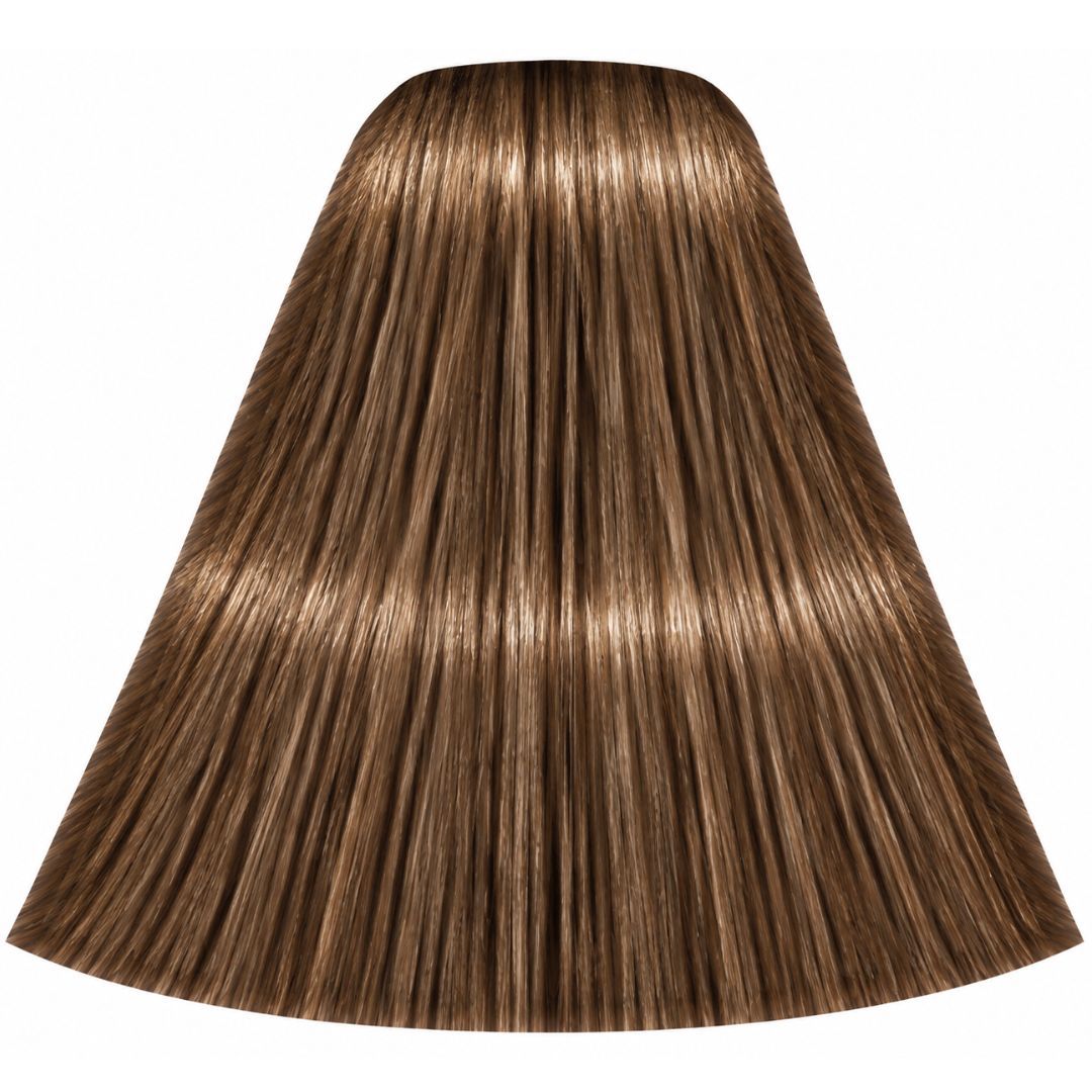 צבע לשיער 6-5 GOLDEN DARK BLONDE איגורה IGORA שוורצקופף 60 גרם צבע לשיער 6-5 GOLDEN DARK BLONDE איגורה IGORA שוורצקופף 60 גרם