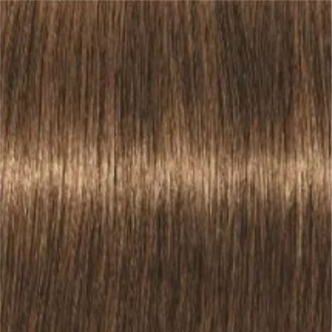צבע לשיער 6-5 GOLDEN DARK BLONDE איגורה IGORA שוורצקופף 60 גרם צבע לשיער 6-5 GOLDEN DARK BLONDE איגורה IGORA שוורצקופף 60 גרם