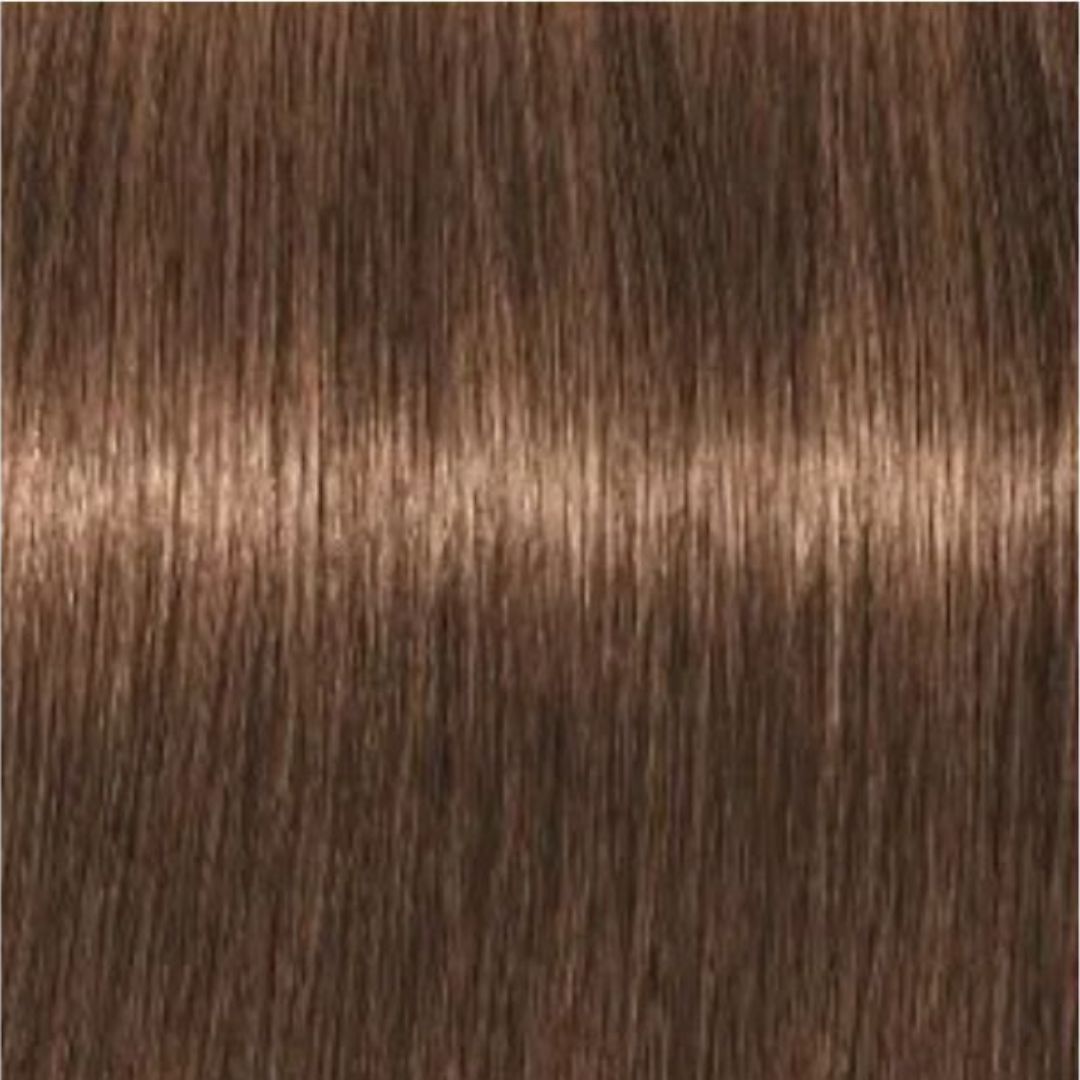 צבע לשיער 6-65 dark blonde chocolate gold איגורה IGORA שוורצקופף 60 גרם צבע לשיער 6-65 dark blonde chocolate gold איגורה IGORA שוורצקופף 60 גרם