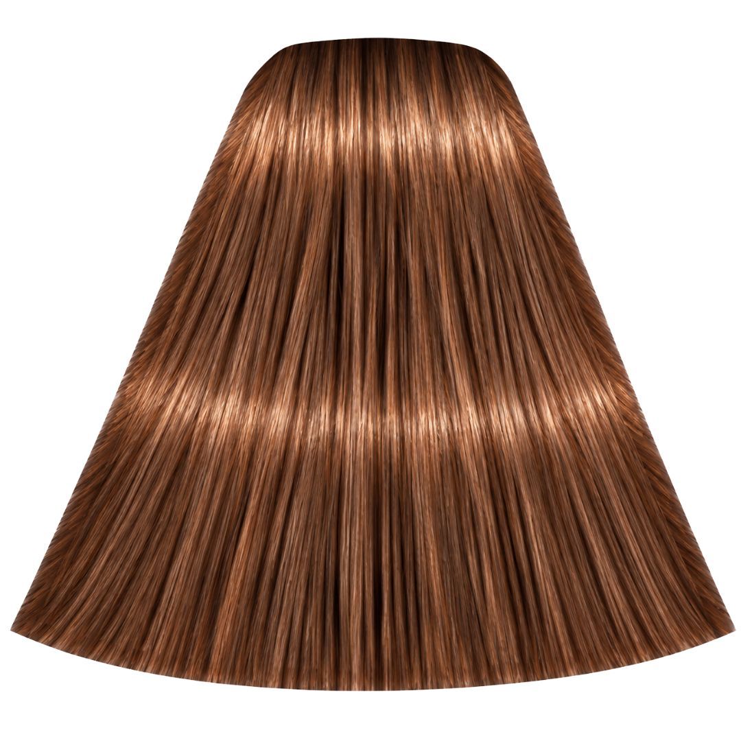 צבע לשיער 7-57 MEDIUM BLONDE GOLD EXTRA איגורה IGORA שוורצקופף 60 גרם צבע לשיער 7-57 MEDIUM BLONDE GOLD EXTRA איגורה IGORA שוורצקופף 60 גרם