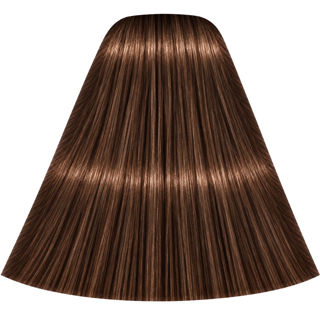 ��� ����� 5-57 light brown chocolate copper ������ IGORA ��������� 60 ���