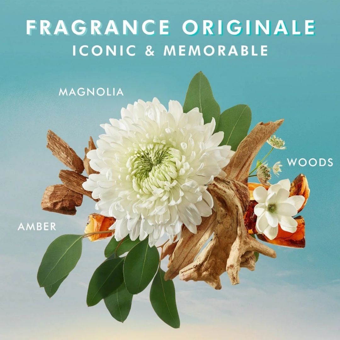 ��� ����� ��� MOROCCANOIL ��� ������ 360 �"�*2