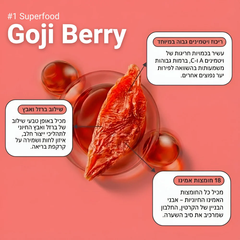 ���� ������� ������ ���� + ���� + ���� + ���� ����� ���, ���� �� ���� PROBERRY ������ 