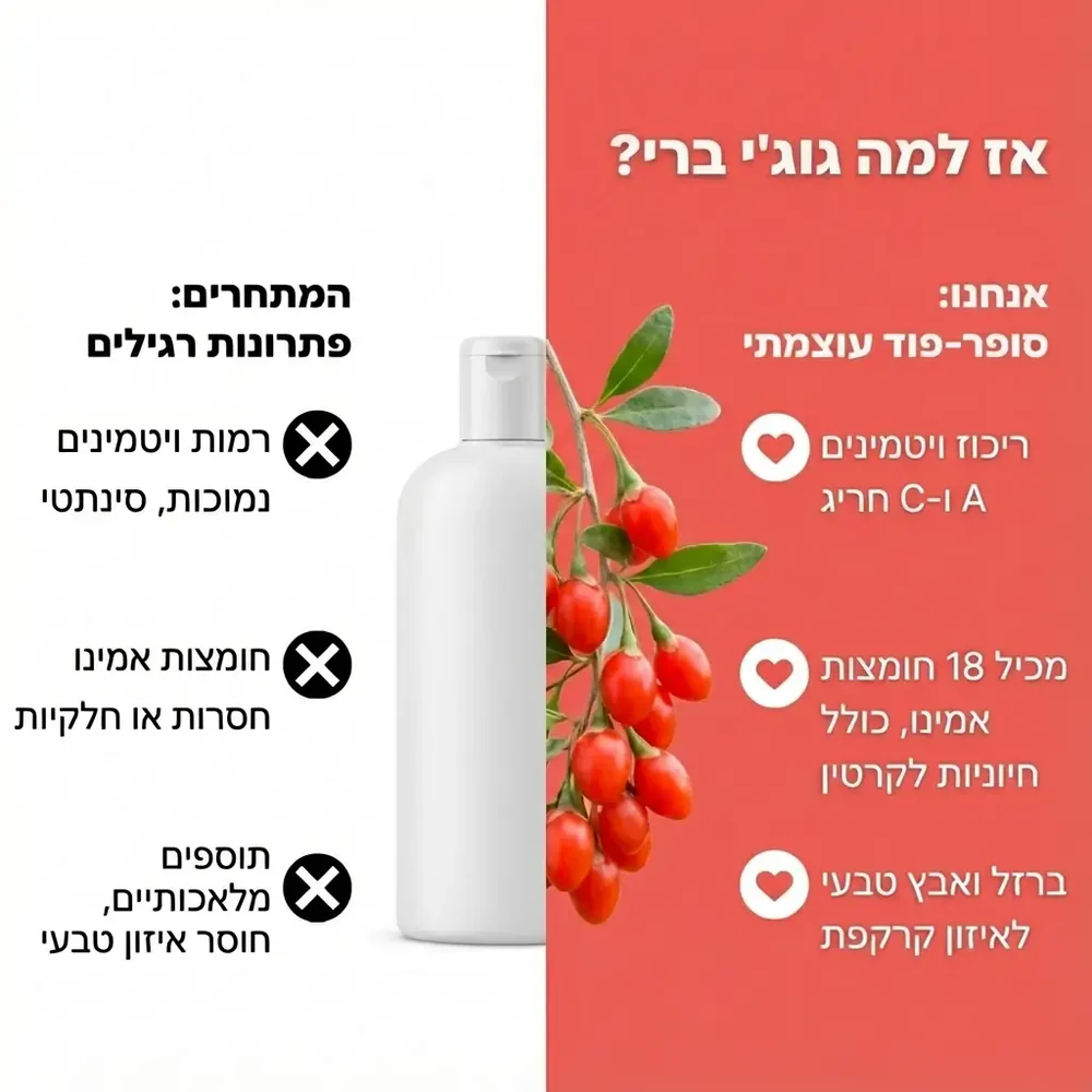���� ������� ������ ���� + ���� + ���� + ���� ����� ���, ���� �� ���� PROBERRY ������ 