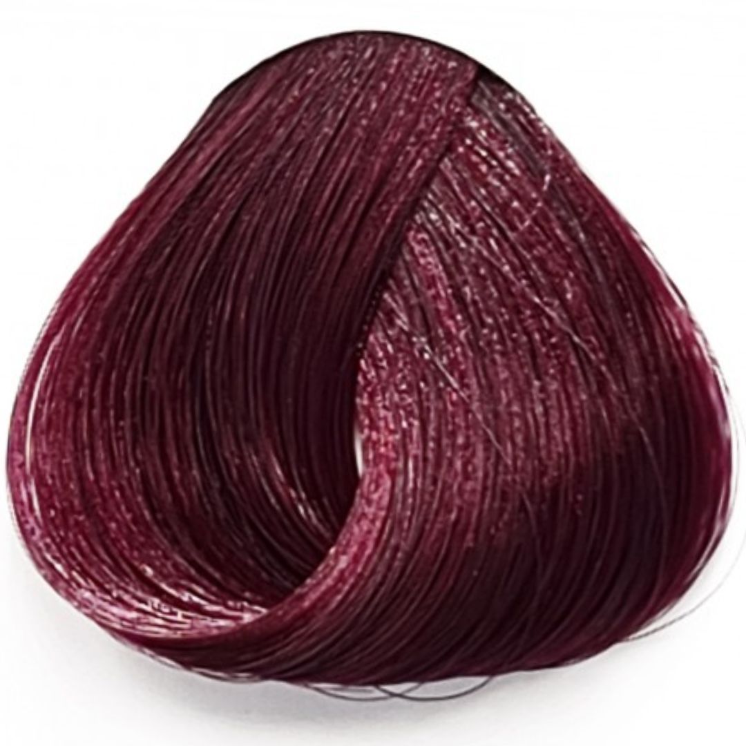 ���� ����� Dark Tulip �� ���' La riche