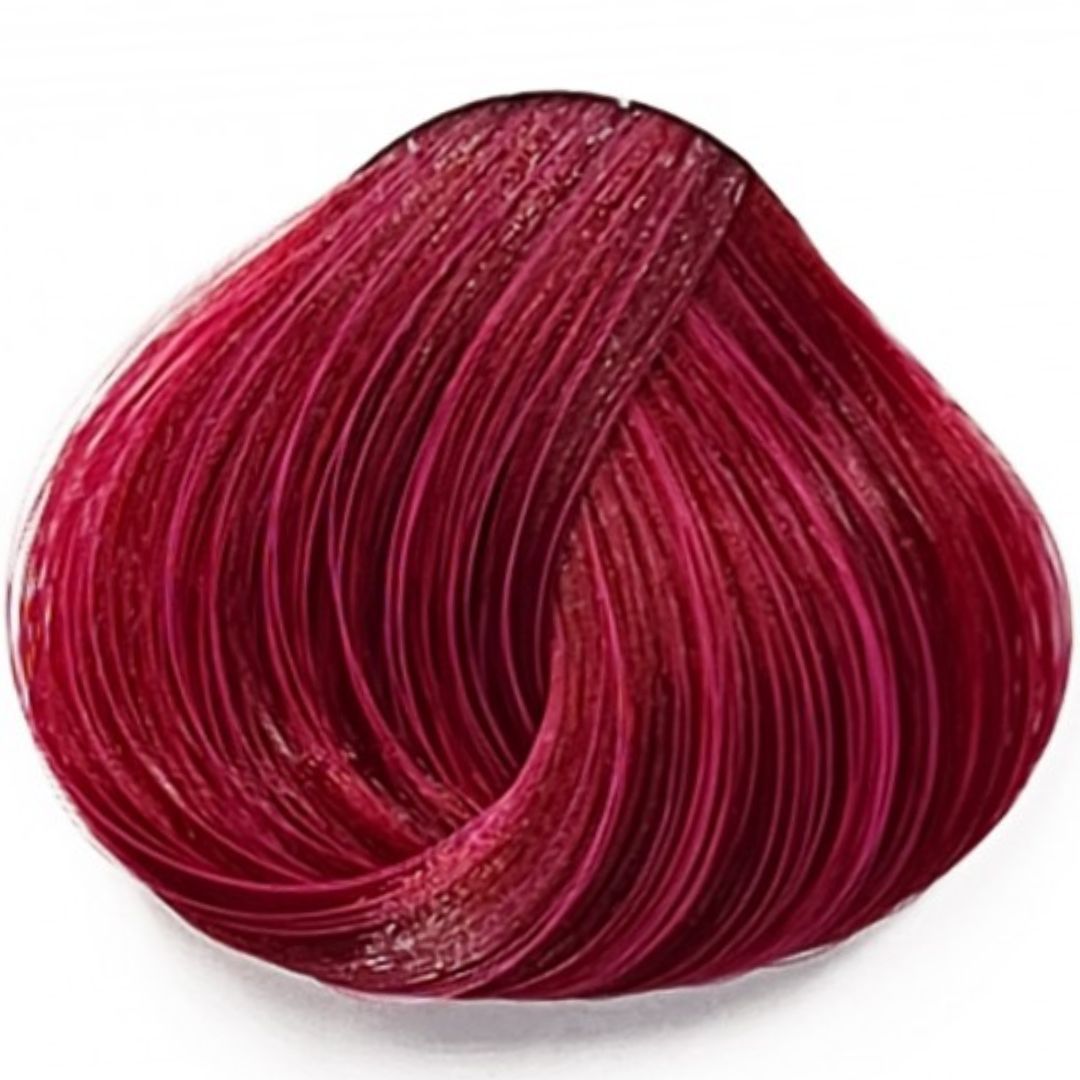 ����� Tulip �� ���' La riche