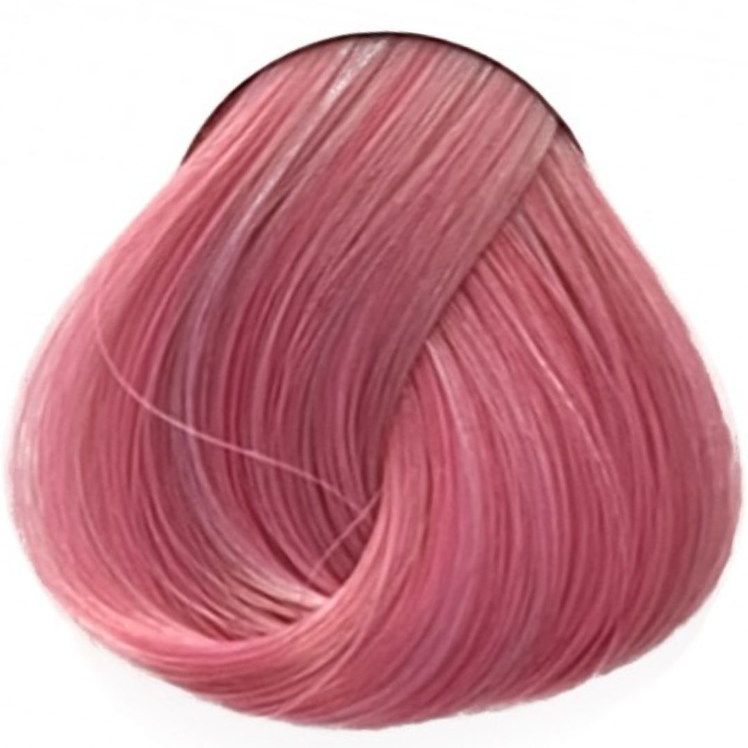 ���� ��� Pastel Rose �� ���' La Riche