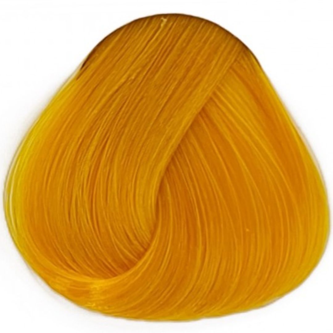 ����� Sunflower �� ���` La Riche