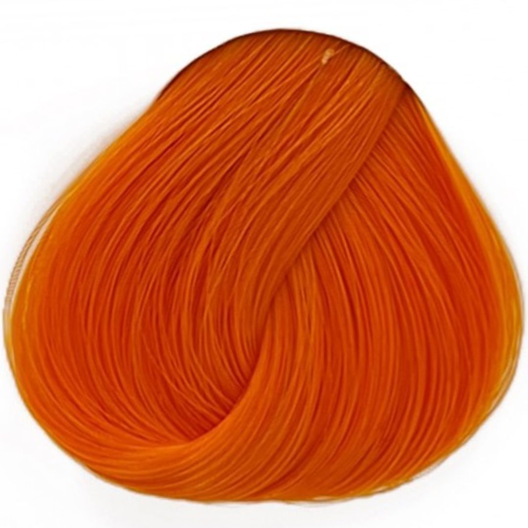 אפריקוט Apricot לה ריץ' La Riche אפריקוט Apricot לה ריץ' La Riche