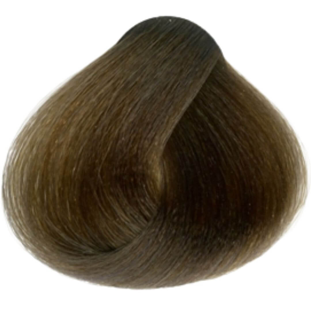 ���� 6.1 ������ Raywell ��� ����� ��� ������ 100 ���