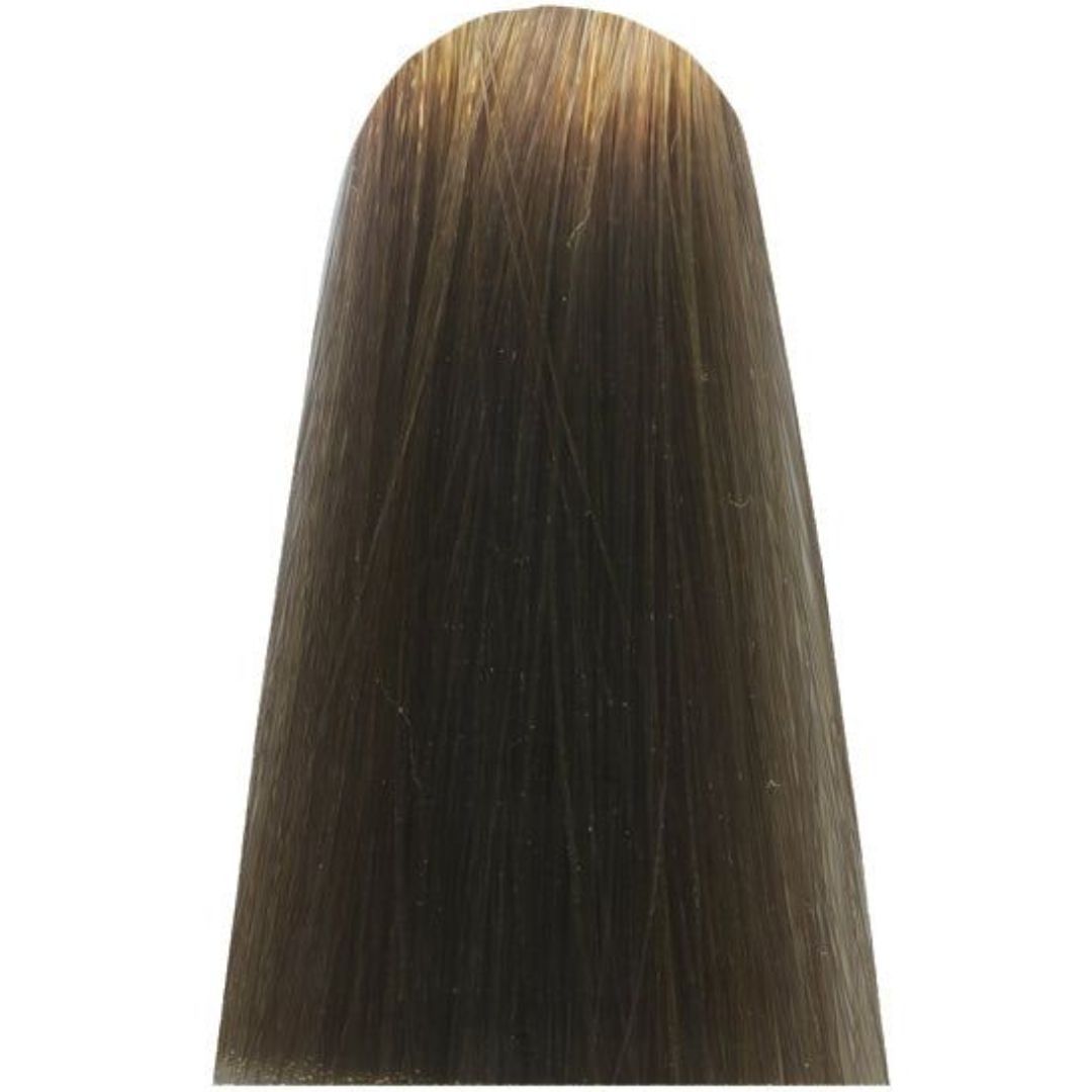 �� ���� 9,1 VERY LIGHT ASH BLOND INFORCED ����� MAJIREL ������ ��� ����� 50 ���