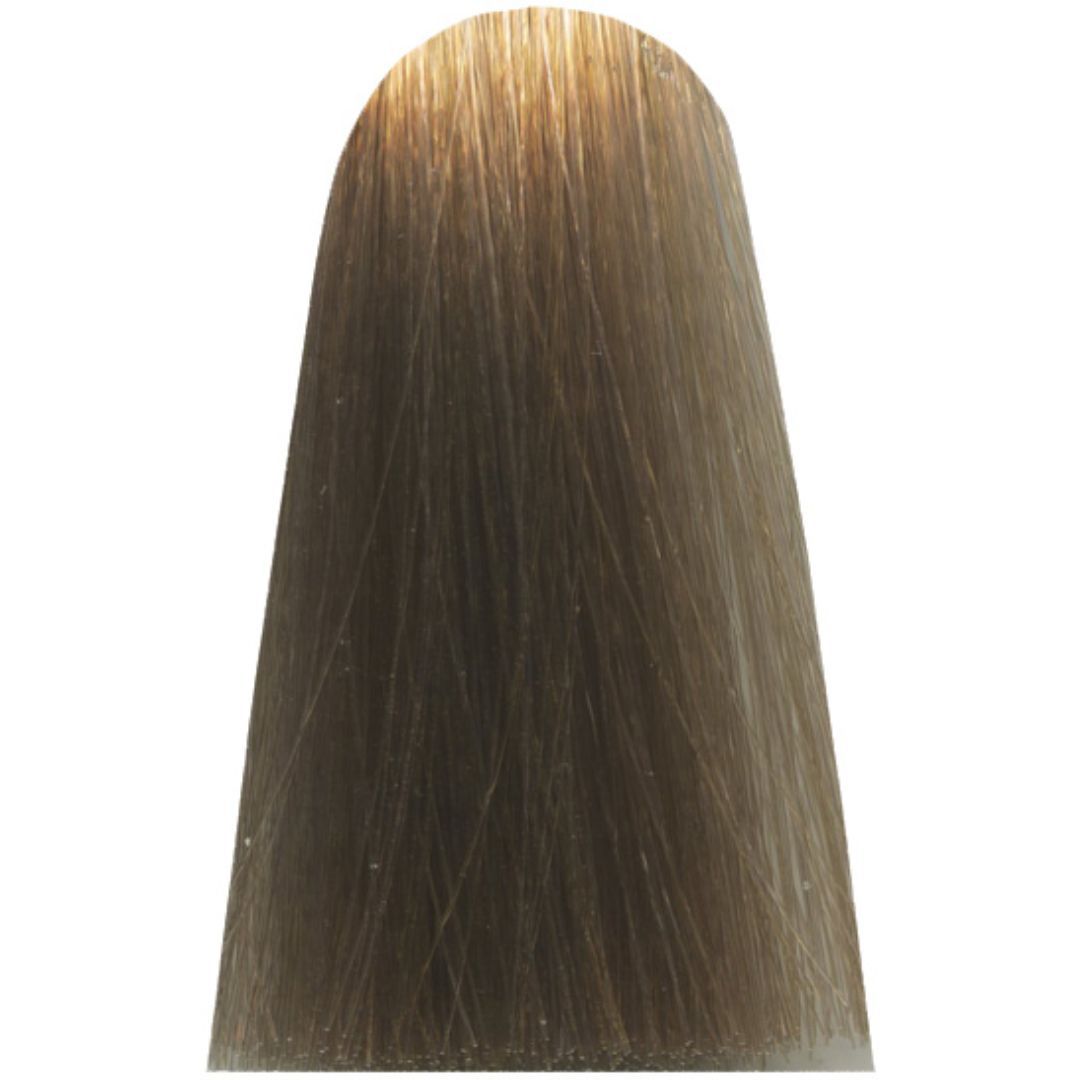 �� ���� CC 10,1 COOL INFORCED ����� MAJIREL ��� ����� ������ 50 ���