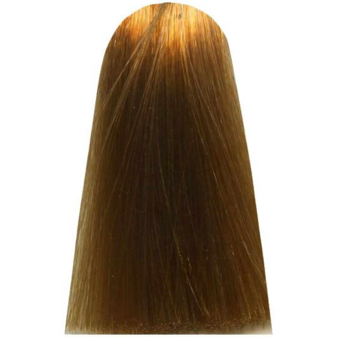 ��� ����� 9,3 VERY LIGHT GOLDEN BLOND ����� MAJIREL ������ ��� ����� 50 ���