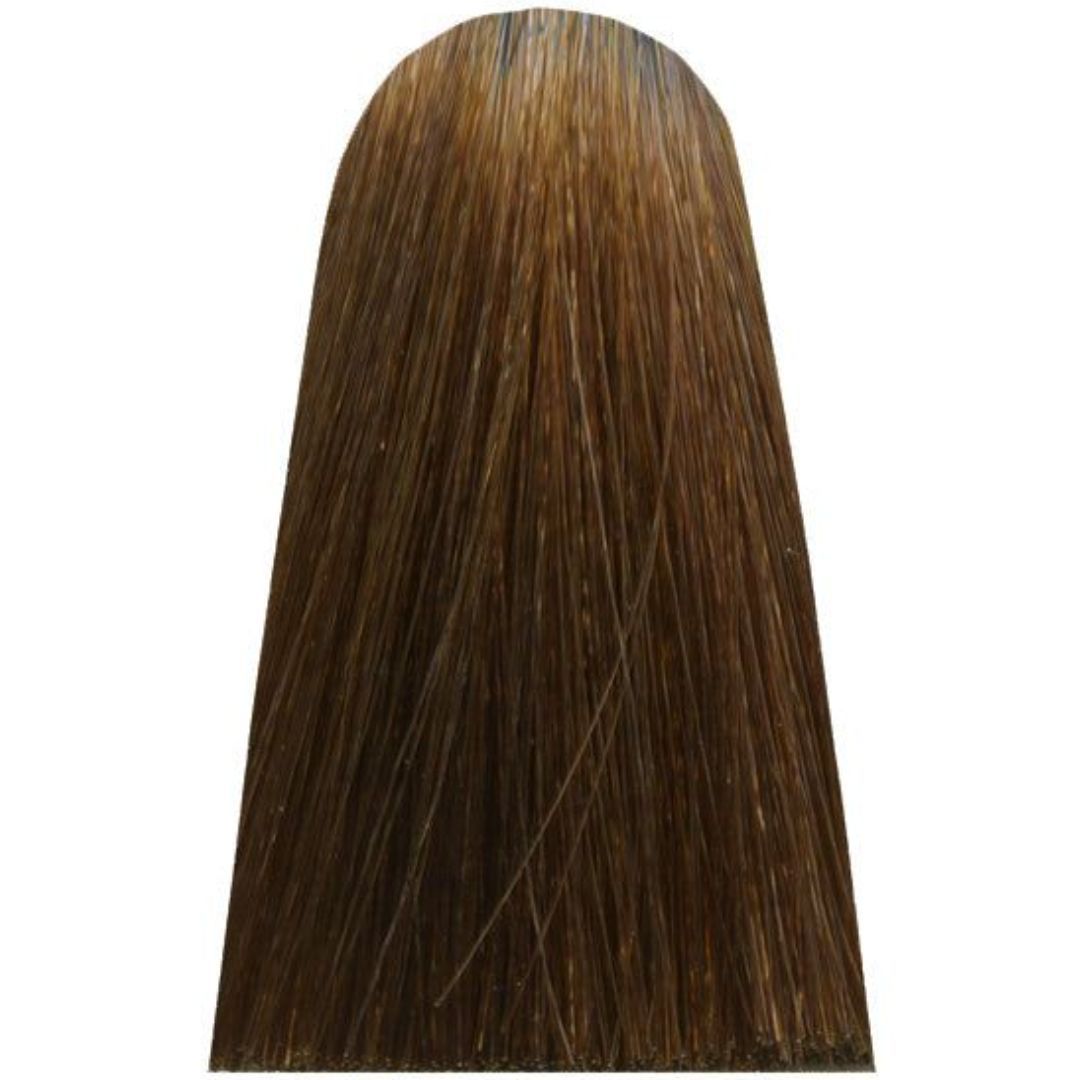 �� ���� 8,8 LIGHT MOCHA BLOND ��'��� MAJIREL ������ ��� ����� 50 ���
