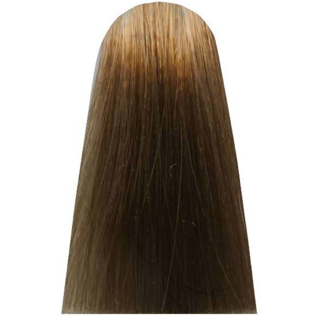�� ���� 8,13 COOL INFORCED LIGHT COOL BEIGE ��� ���� COOL BROWN ��'��� MAJIREL ������ ��� ����� 50 ���