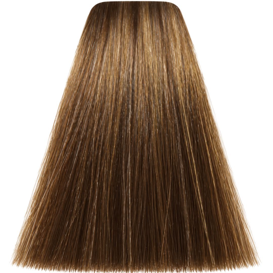 �� ���� 7,31 GOLDEN ASH BLOND ����� MAJIREL ������ ��� ����� 50 ���
