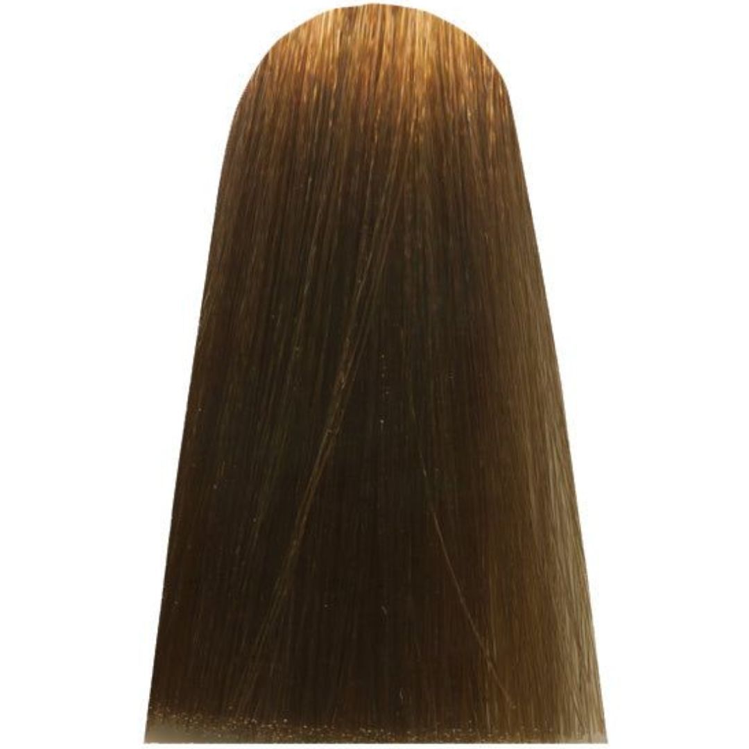 תת גוון 8,31 LIGHT GOLDEN ASH BLOND מג'ירל MAJIREL צבע לשיער לוריאל 50 גרם תת גוון 8,31 LIGHT GOLDEN ASH BLOND מג'ירל MAJIREL צבע לשיער לוריאל 50 גרם