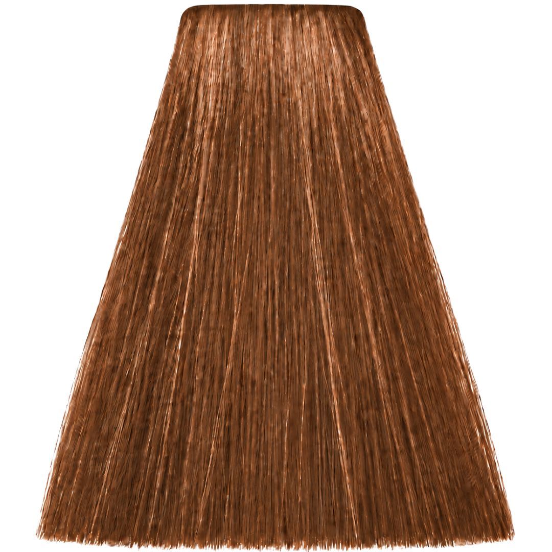 תת גוון 8,34 LIGHT GOLDEN COPPER BLOND מג'ירל MAJIREL צבע לשיער לוריאל 50 גרם תת גוון 8,34 LIGHT GOLDEN COPPER BLOND מג'ירל MAJIREL צבע לשיער לוריאל 50 גרם