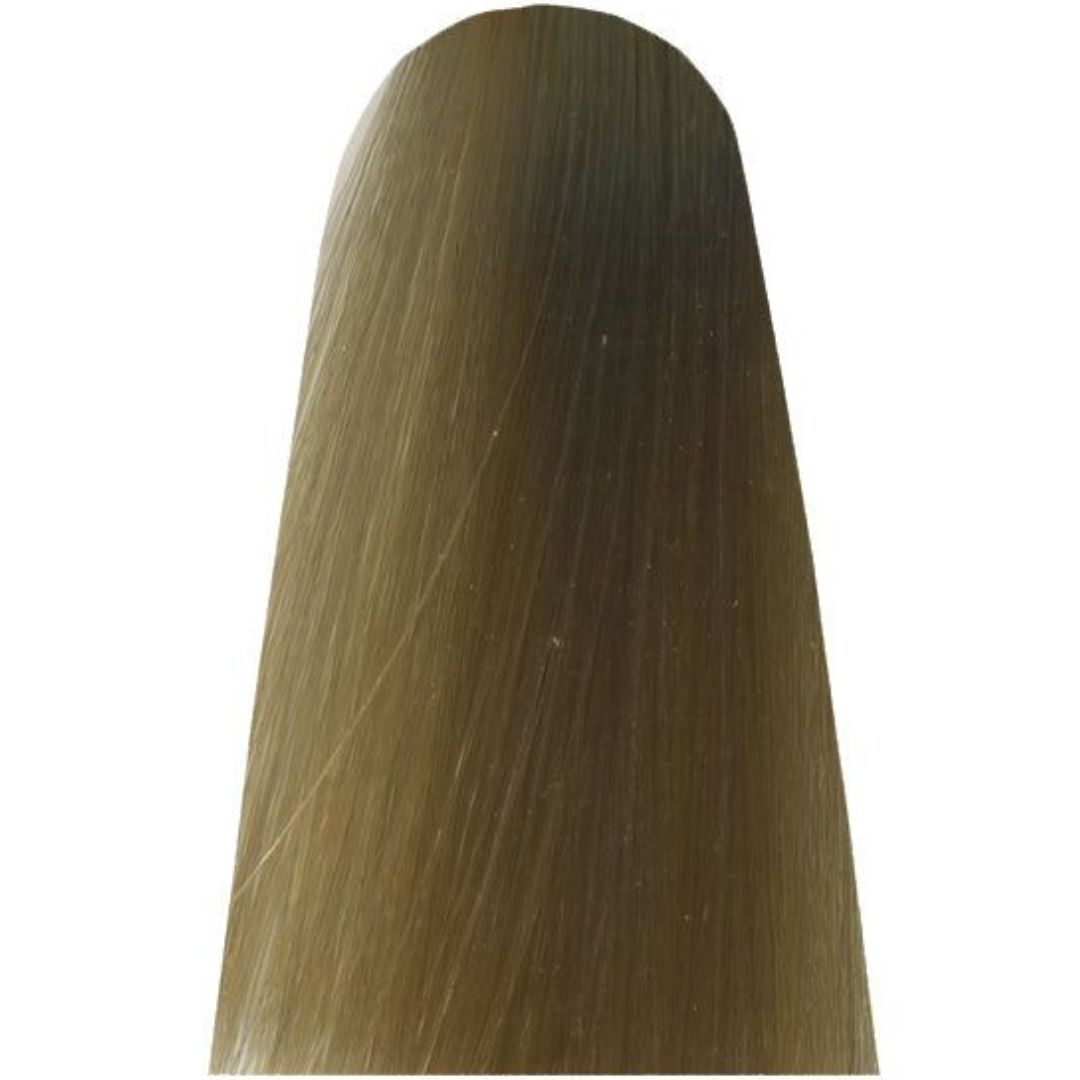 �� ���� ����� ���� HL NEUTRAL ����� FUNDAMENTAL ����� ���� ����� MAJIREL HIGH LIFT ������ 50 ���
