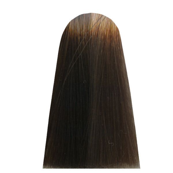 �� ���� LIGHT.18 GREIGE ESCAPE ���� MOCHA ����� ���� MAJIREL GLOW ��� ����� ������ 50 ���