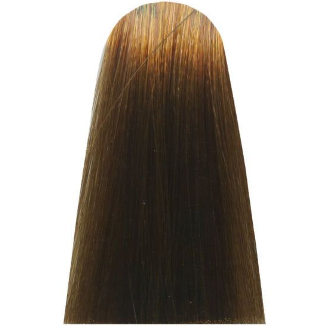 �� ���� CC 8.3 LIGHT BEIGE GOLDEN BLONDE ��� GOLD ����� MAJIREL COOL COVER ��� ����� ������ 50 ���