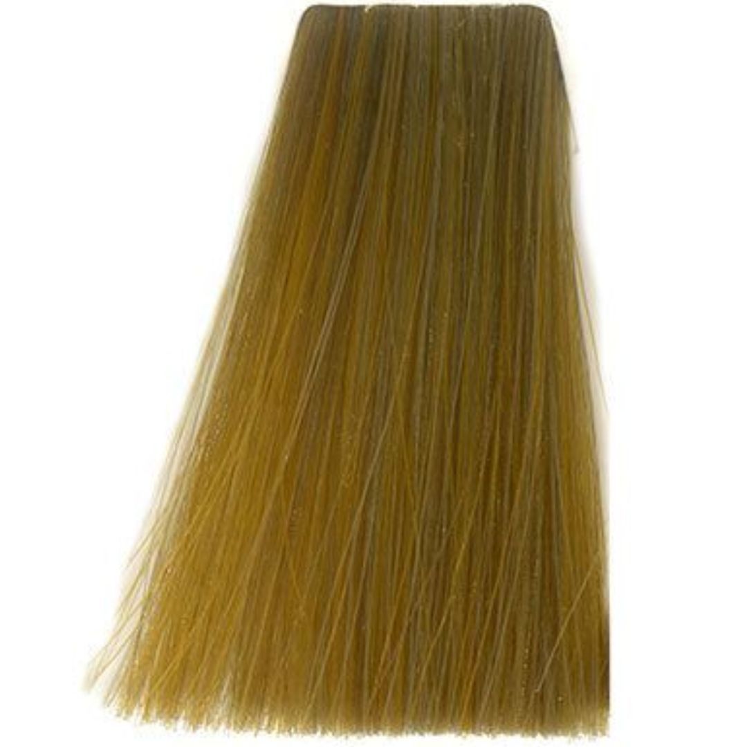 �� ���� Gold Basic 9.3 ������ INOA ������
