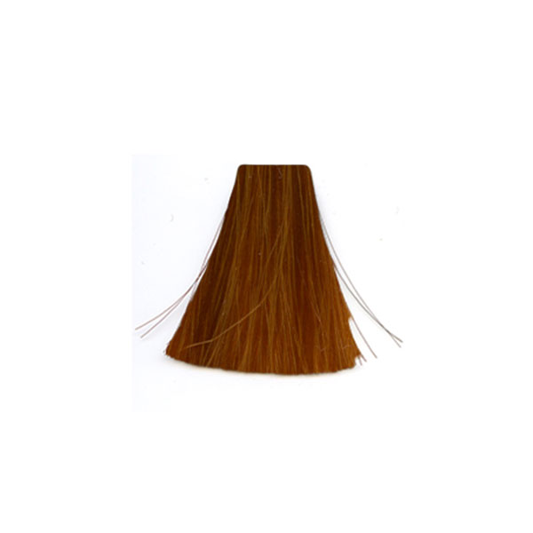 �� ���� Copper 8.40 ������ INOA ������ 60 ���