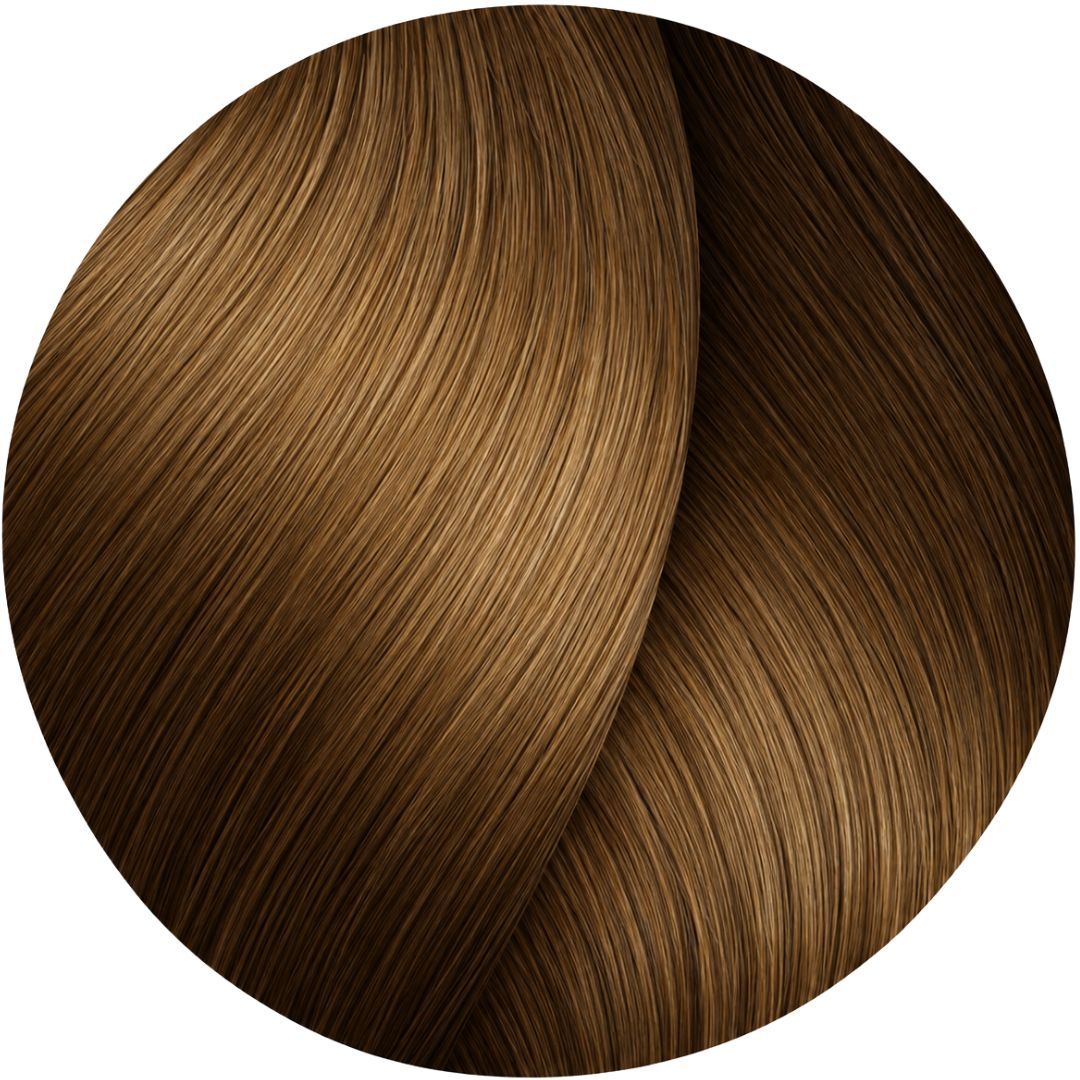 �� ���� Gold 6.3 ������ INOA ������ 60 ���
