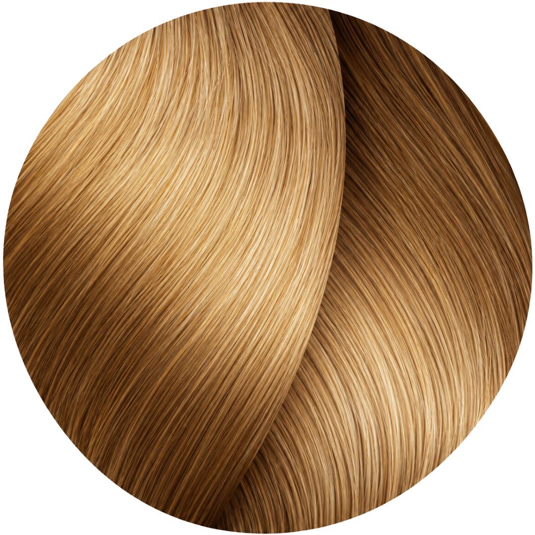 �� ���� Gold 9.3 ������ INOA ������ 60 ���