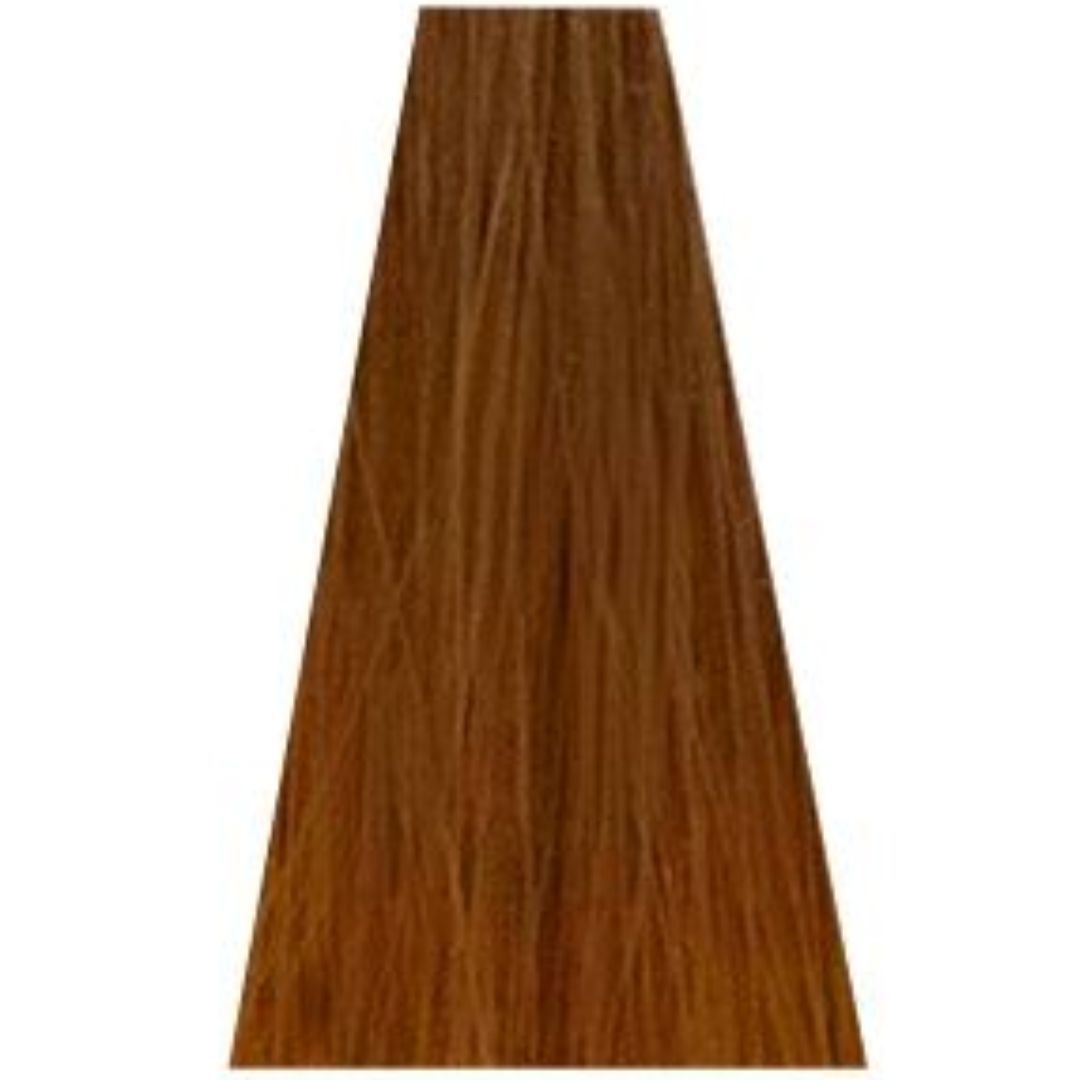 �� ���� 7.35 Warm Brown / Warm Beige ������ INOA ������ 60 ���