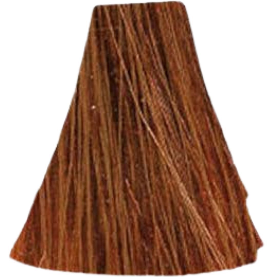�� ���� 7.35 Warm Brown / Warm Beige ������ INOA ������ 60 ���