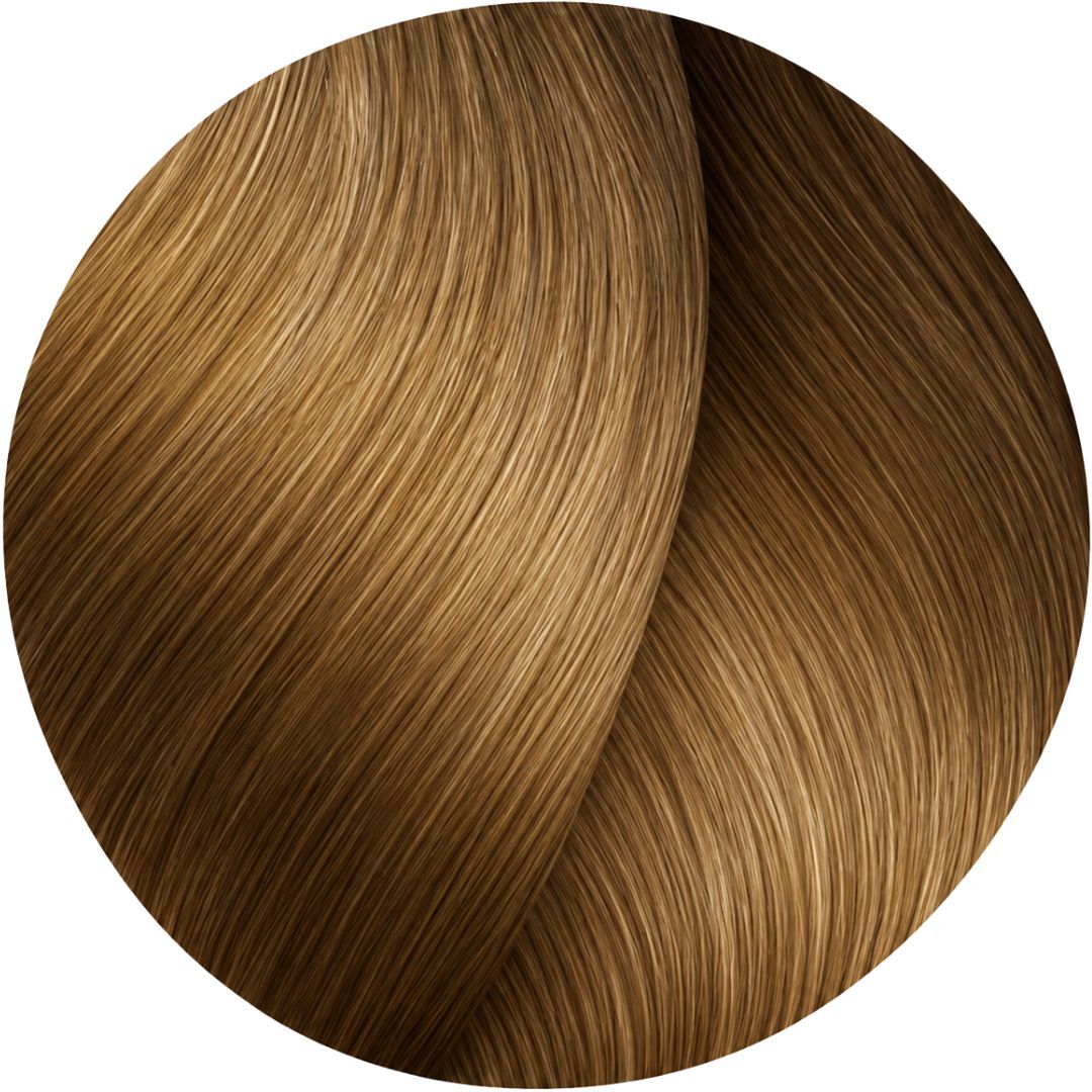 ��� ����� ��� ������ 8.31 Warm Brown / Warm Beige ������ INOA ������ 60 ���