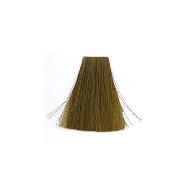 �� ���� 9.32 Warm Brown / Warm Beige ������ INOA ������ 60 ���