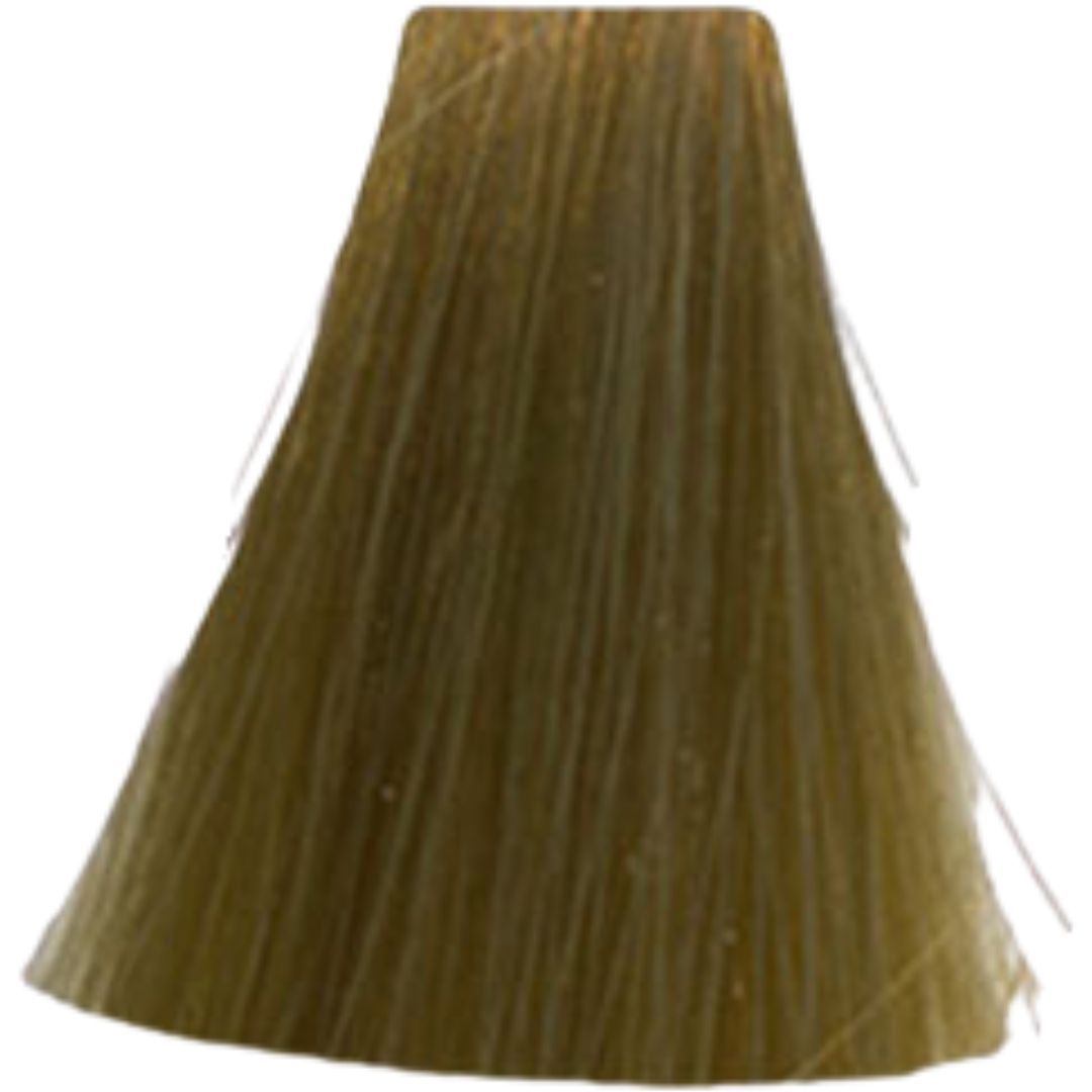 �� ���� 9.31 Warm Brown / Warm Beige ������ INOA ������ 60 ���