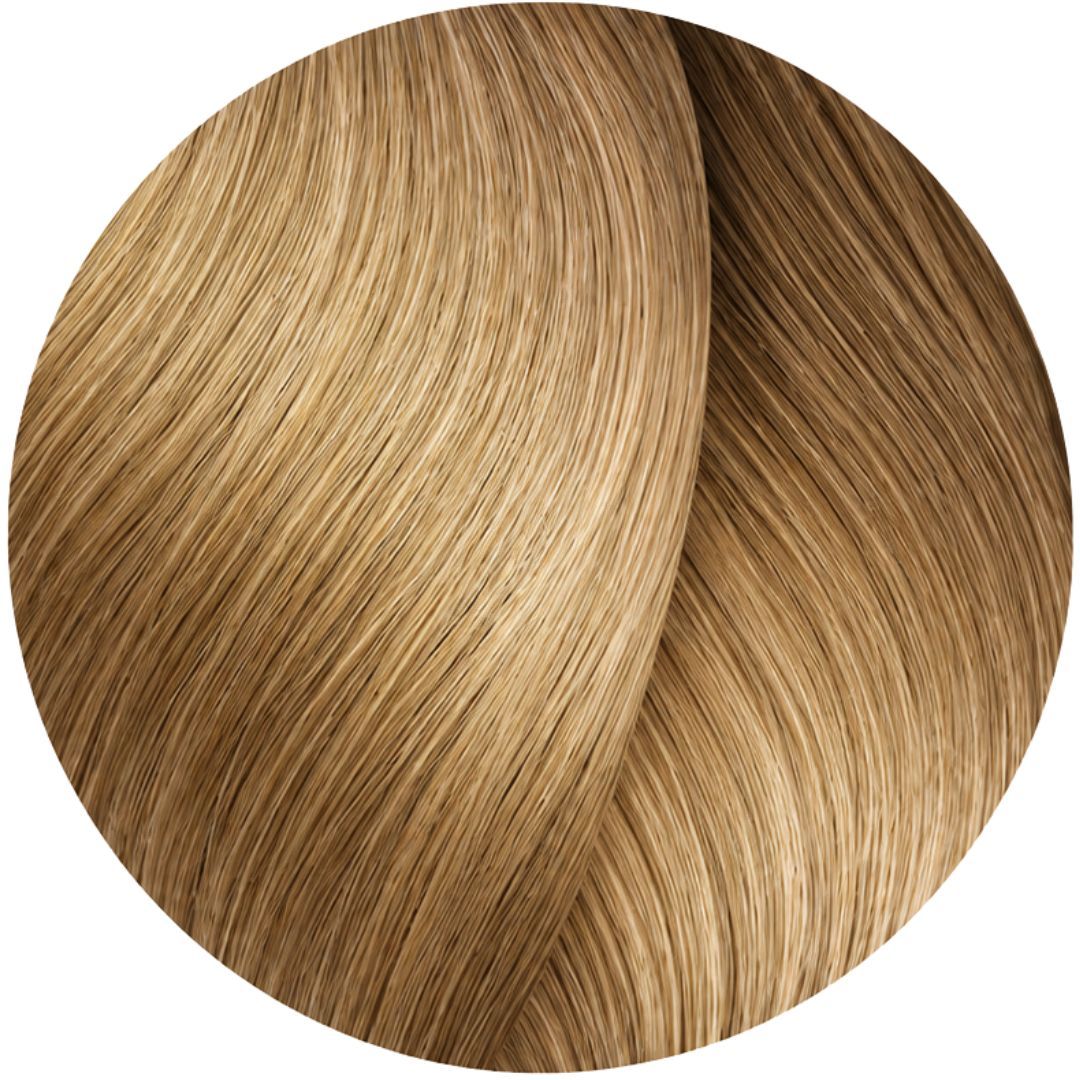 �� ���� 9.31 Warm Brown / Warm Beige ������ INOA ������ 60 ���