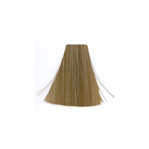 �� ���� 10.23 Cool Brown / Cool Beige ������ INOA ������ 60 ���