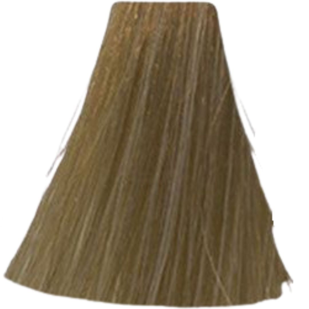 �� ���� 10.12 Cool Brown / Cool Beige ������ INOA ������ 60 ���